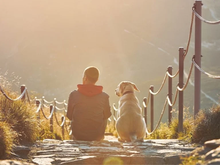 activités en indre et loire (37)