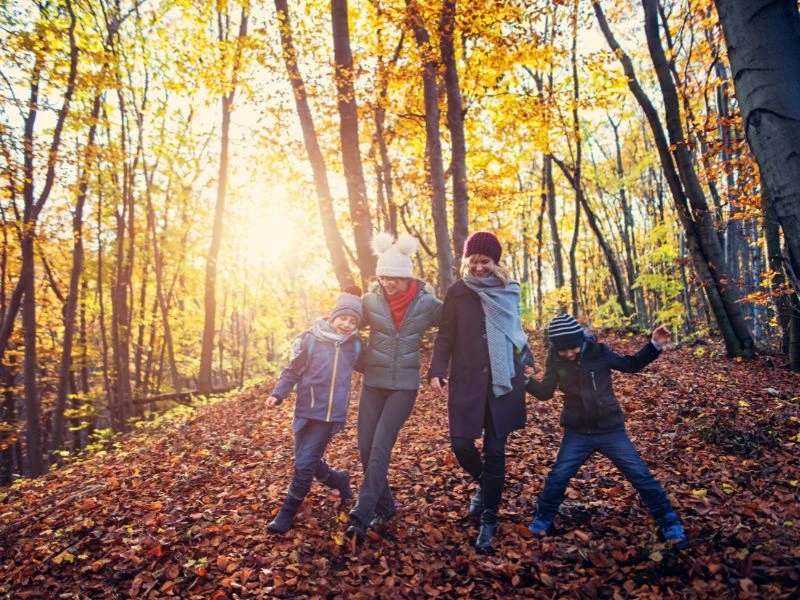 hébergement insolite en indre et loire (37)