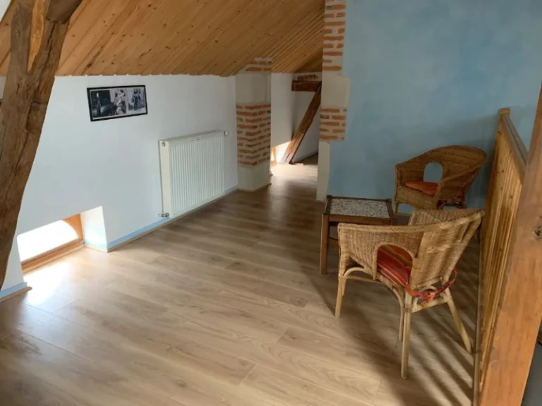 idées de week-end en indre et loire (37)