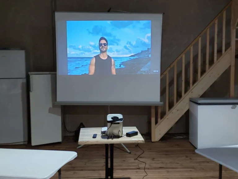 activités proche de villiers au bouin (37)